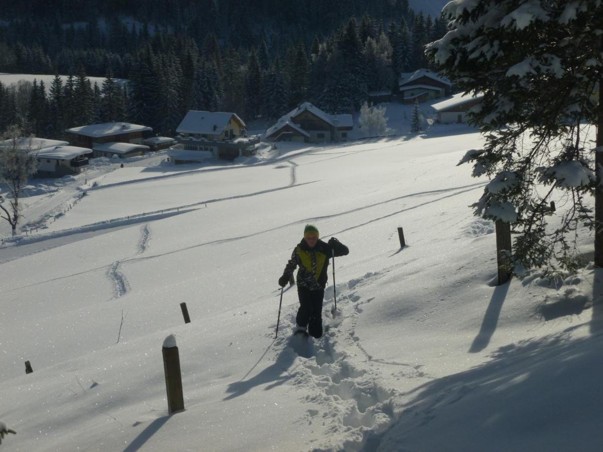 Ferienwohnung "Mein Alpenjuwel" Filzmoos Exteriör bild