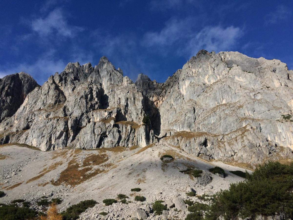 Ferienwohnung "Mein Alpenjuwel" Filzmoos Exteriör bild